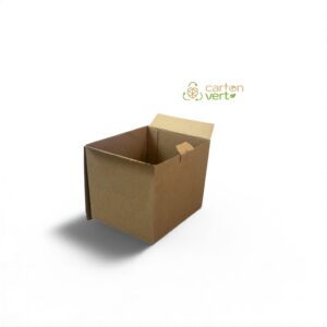 LOT DE 20 CARTONS 20 x 17 x 17 cm