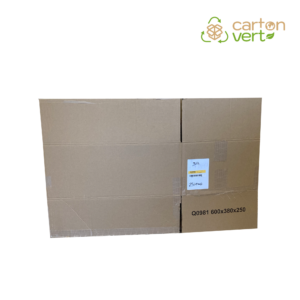 LOT DE 20 CARTONS 60 x 38 x 25 cm